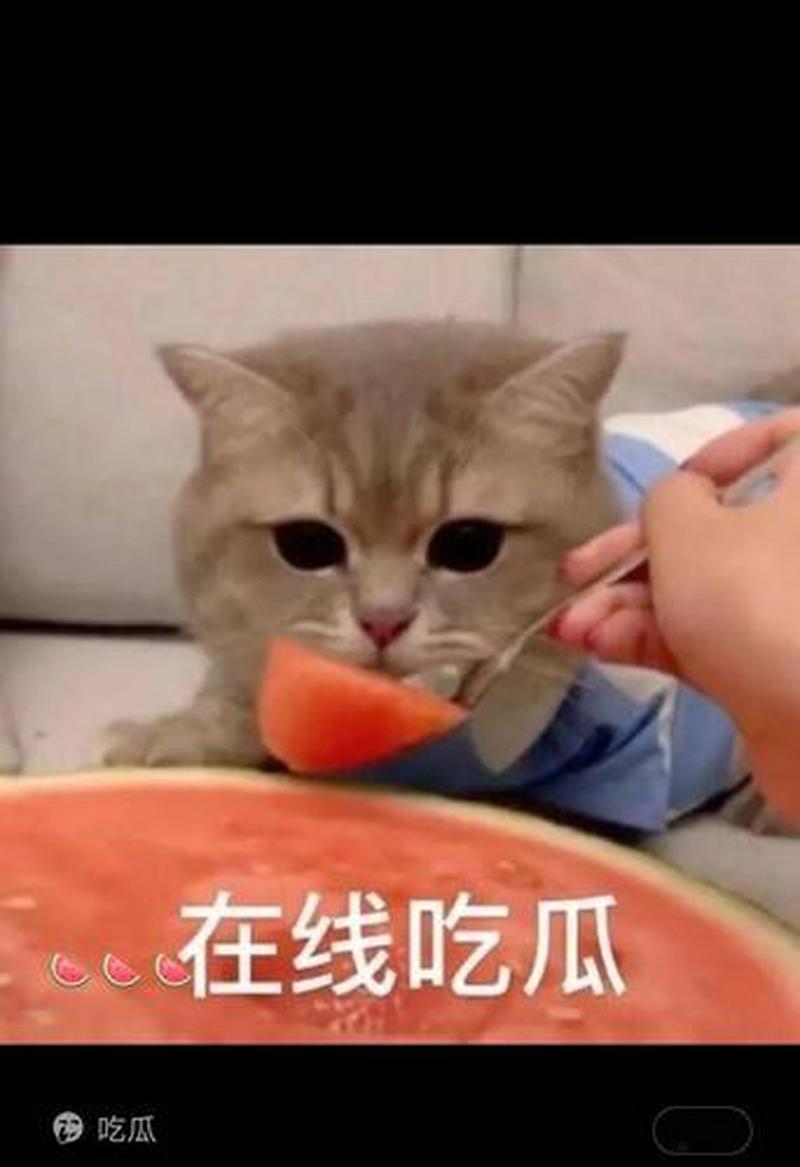 迷失辅助_网恋陷阱深似海，迷途羔羊需谨慎-第1张图片-铖浩科技