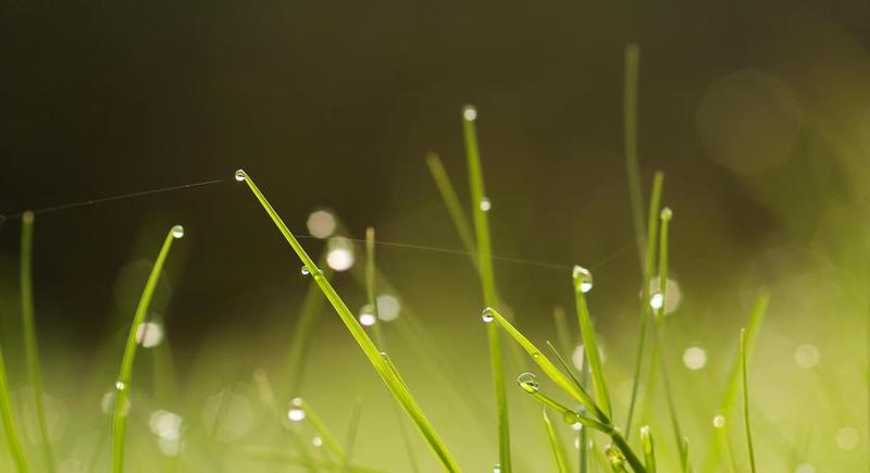 雨后的故事动画—雨后的奇妙旅程-第1张图片-铖浩科技
