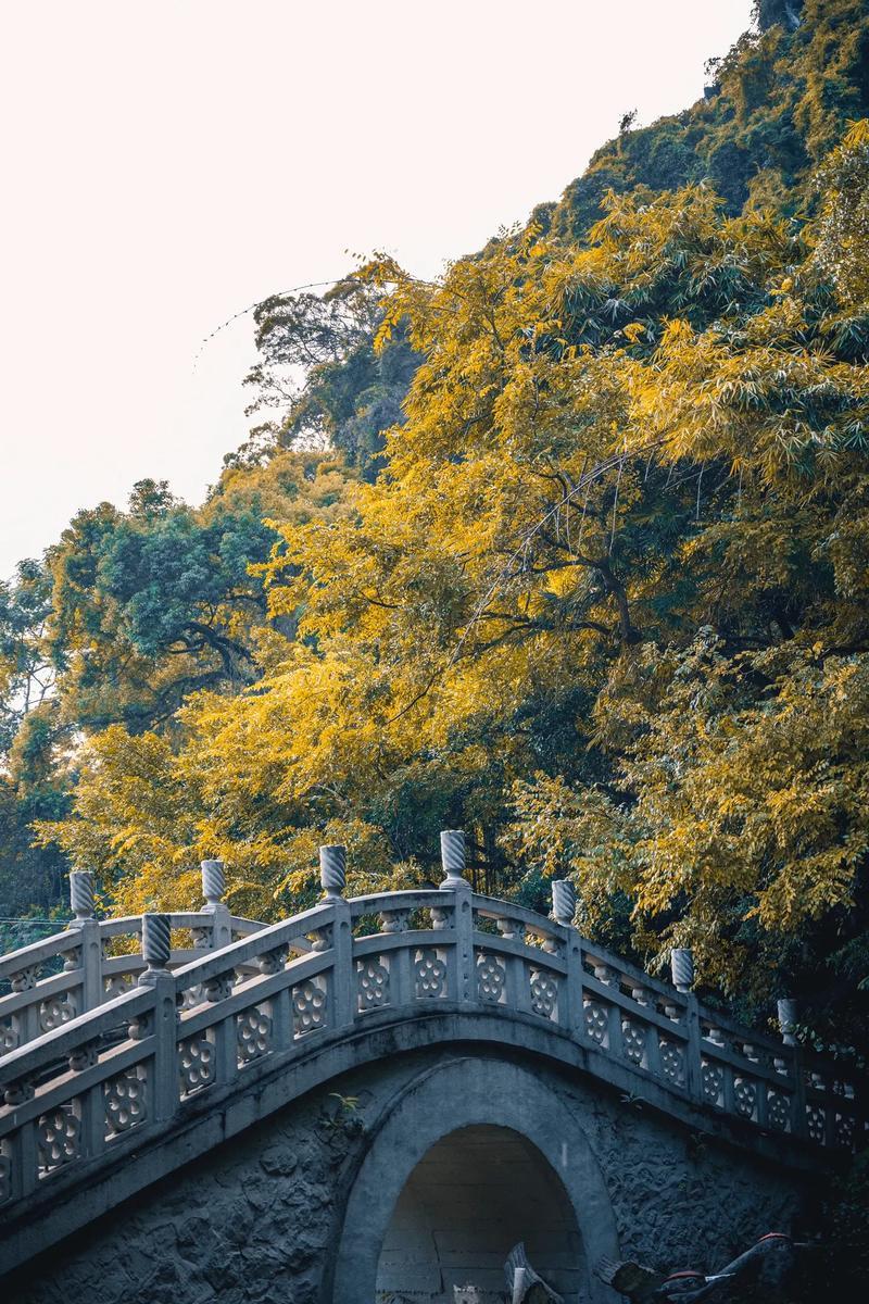 逃离带电水域攻略—逃离触电水域：生命攸关的应急攻略-第1张图片-铖浩科技