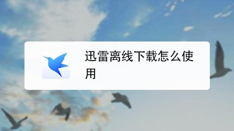 迅雷离线空间在哪里—解锁迅雷离线下载的奥秘-第1张图片-铖浩科技
