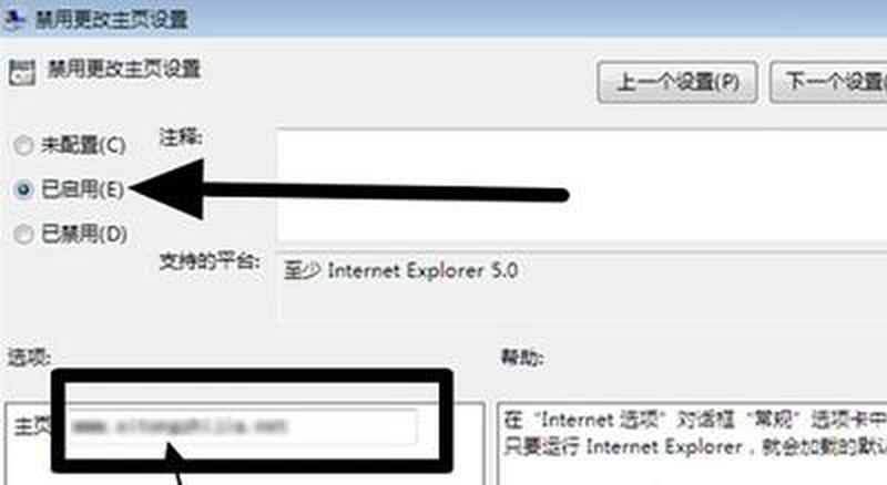 无法更改主页困扰不停-第1张图片-铖浩科技