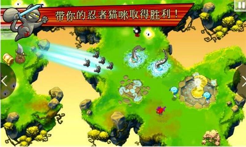 飞天忍者猫挑战版(飞天忍者猫：猫界无影刺客，睥睨天下)-第1张图片-铖浩科技