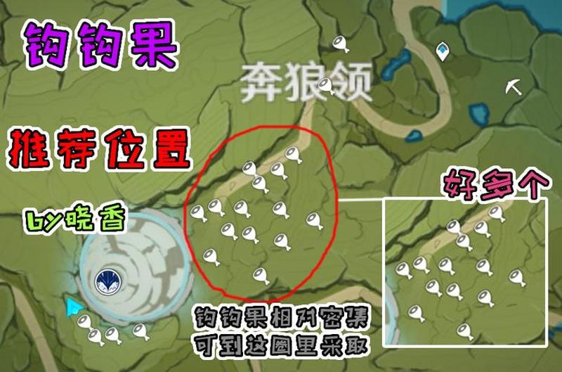 钩钩果采集点_钩果奇缘：神秘采集点的馈赠-第1张图片-铖浩科技