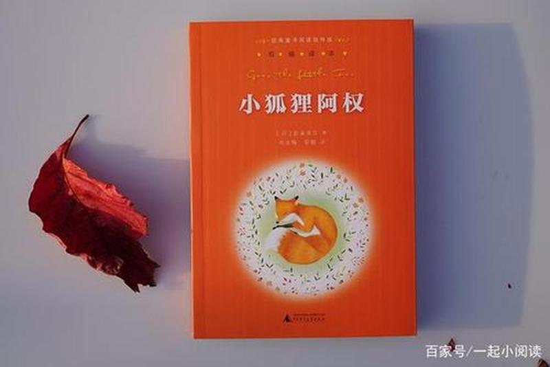 小狐狸完美使用指南：从初接触到无忧无虑-第1张图片-铖浩科技