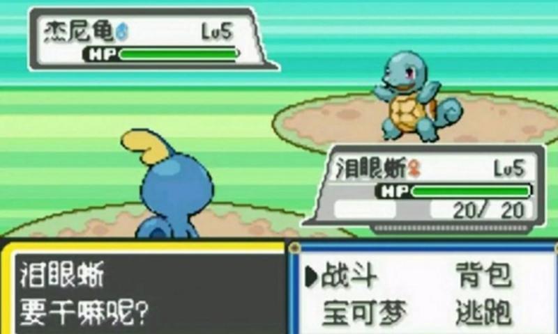 绿宝石493修改器—绿宝石493修改器的进制冒险之旅-第1张图片-铖浩科技