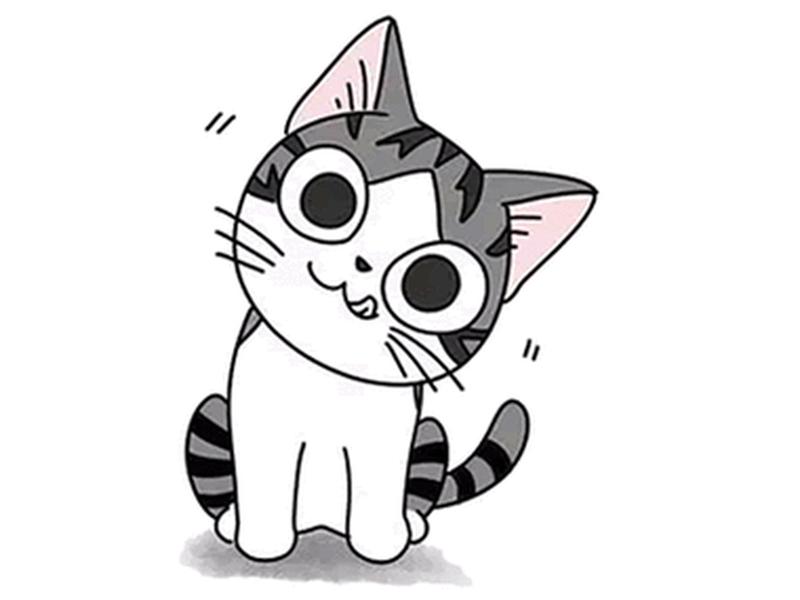 甜甜私房猫叫什么名字_甜甜私房猫萌图空降 *** ，软萌表情萌化你的心-第1张图片-铖浩科技