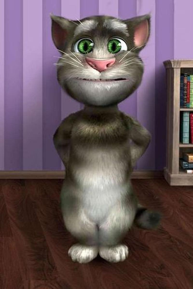 会说话的汤姆猫4(会说话的汤姆猫4：猫咪奇遇记)-第1张图片-铖浩科技