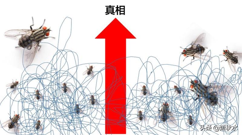 黑名单下的真相：揭开 *** 游戏社交暗战-第1张图片-铖浩科技