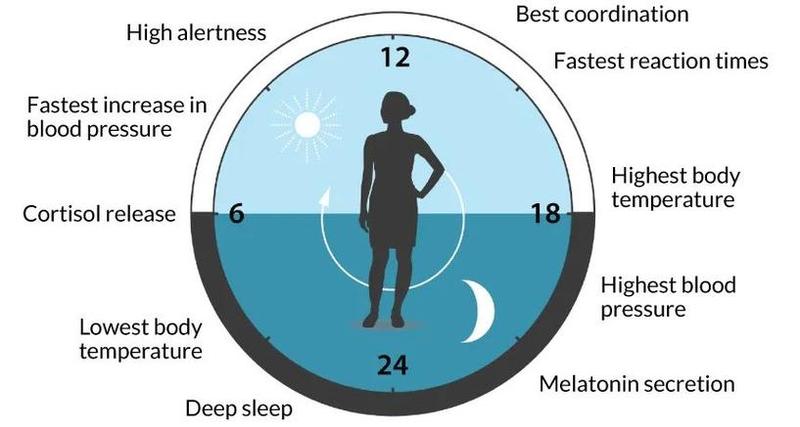 休眠和睡眠的区别—休眠沉睡辨异析-第1张图片-铖浩科技