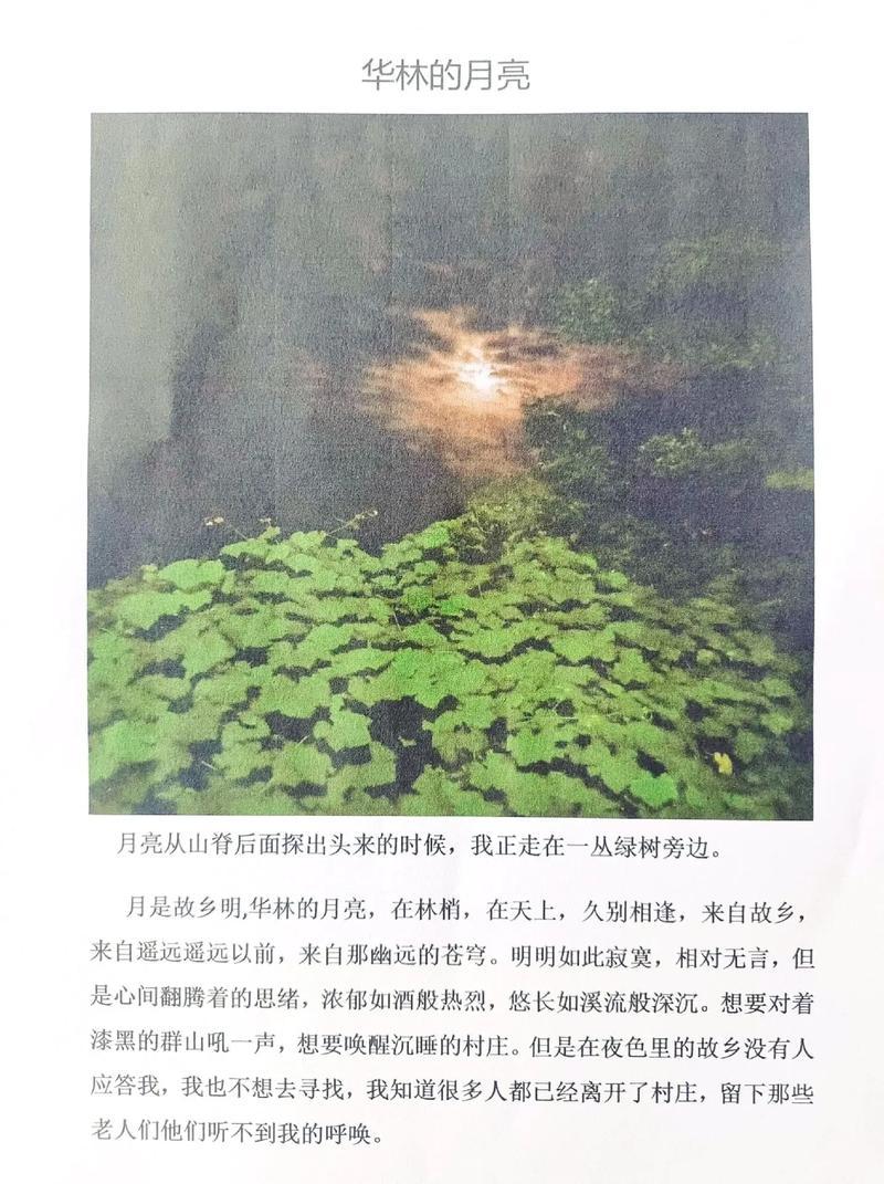 皎皎1V.1H_皓月之下，一骑定乾坤-第1张图片-铖浩科技