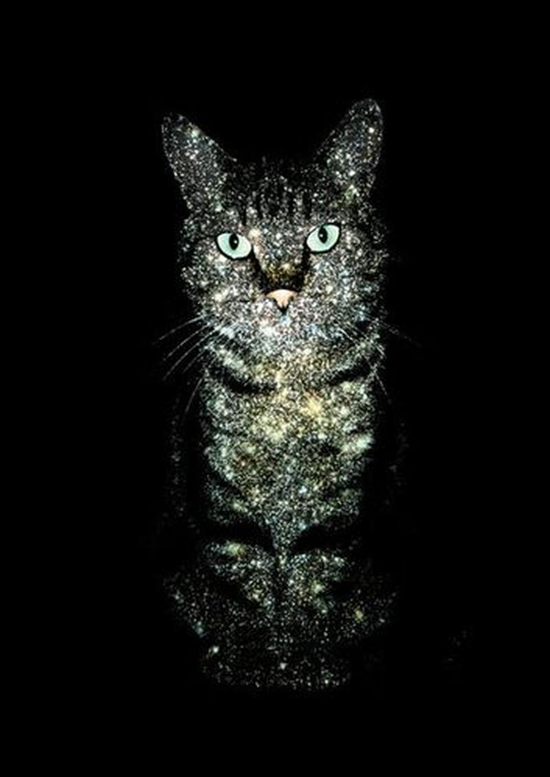 猫眼连接电视—漫漫猫眼路，精彩随心看-第1张图片-铖浩科技