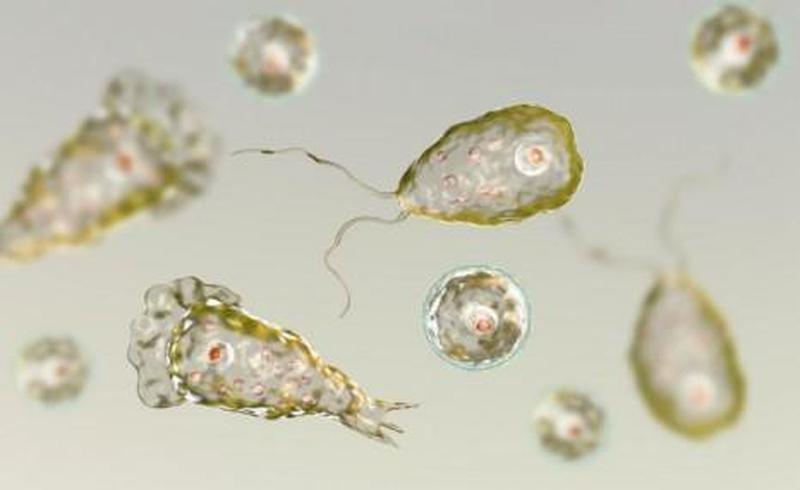 bugsplat 错误_虫飞色溅-第1张图片-铖浩科技
