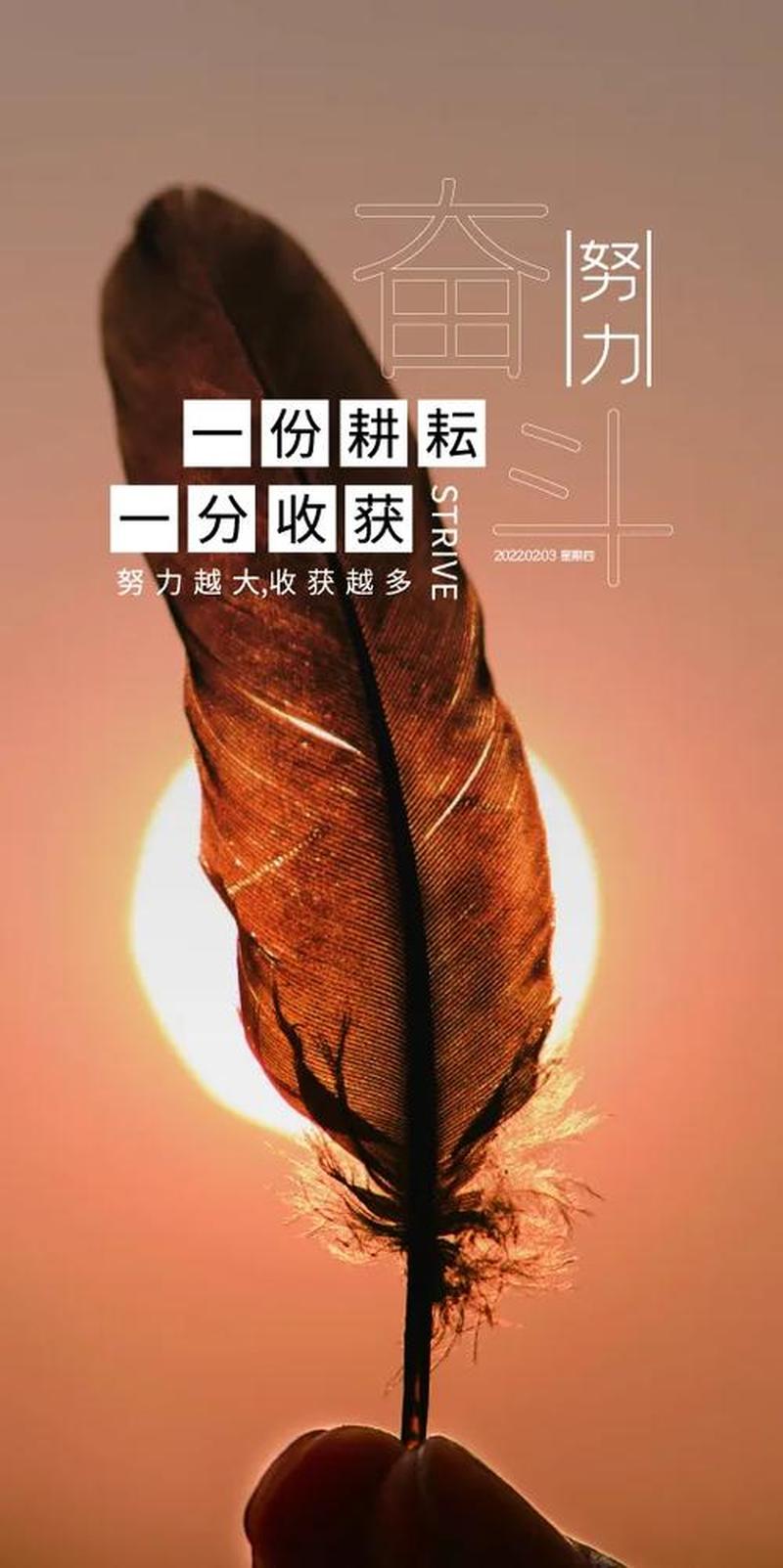驾驭人生2010：释放你的潜能，掌控你的未来-第1张图片-铖浩科技