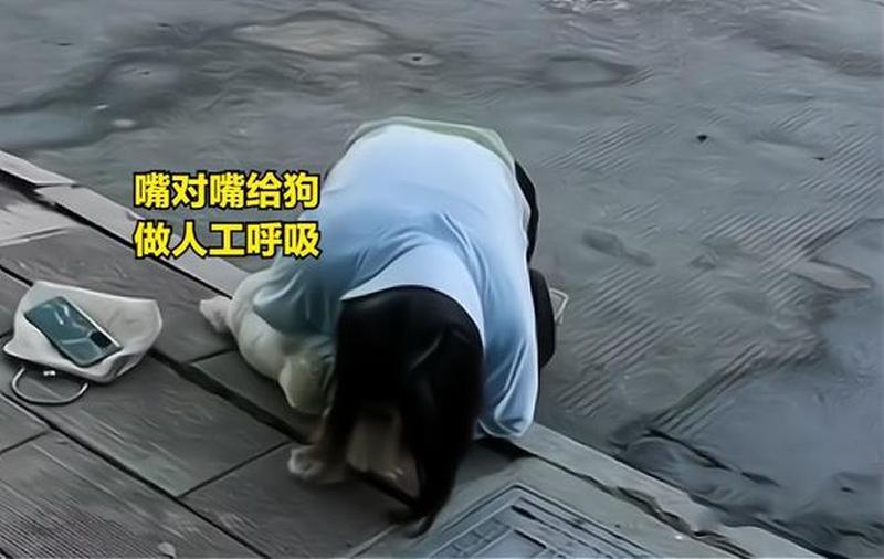 浙江一女子与宠物卡住送去医院_浙女子与宠物卡住送医 医院急救化险为夷-第1张图片-情感驿站