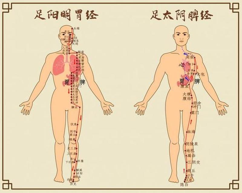 二指探洞应该怎么抠_探寻二指入洞的妙法：教你如何准确击中穴位-第1张图片-情感驿站