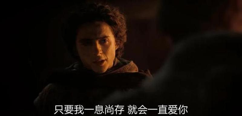 打野寡妇(荒野激战：与宿命伴侣共探迷踪)-第1张图片-情感驿站
