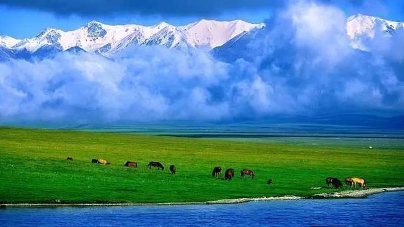 深圳情感咨询_深圳解忧驿站：情感的天空由你做主-第1张图片-情感驿站