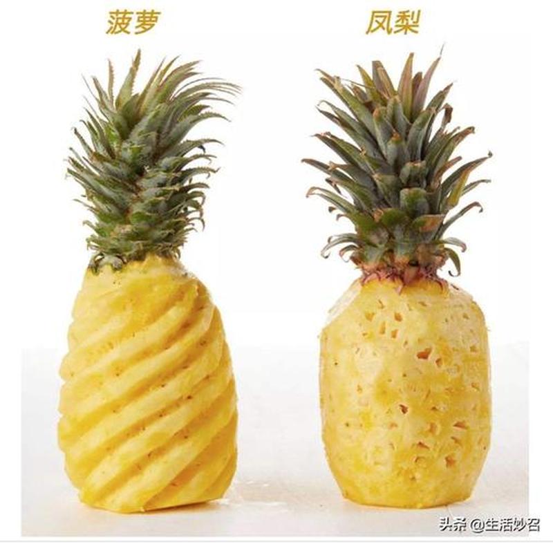 凤梨和菠萝一样吗(凤梨菠萝同宗共祖，酸甜滋味各千秋)-第1张图片-情感驿站