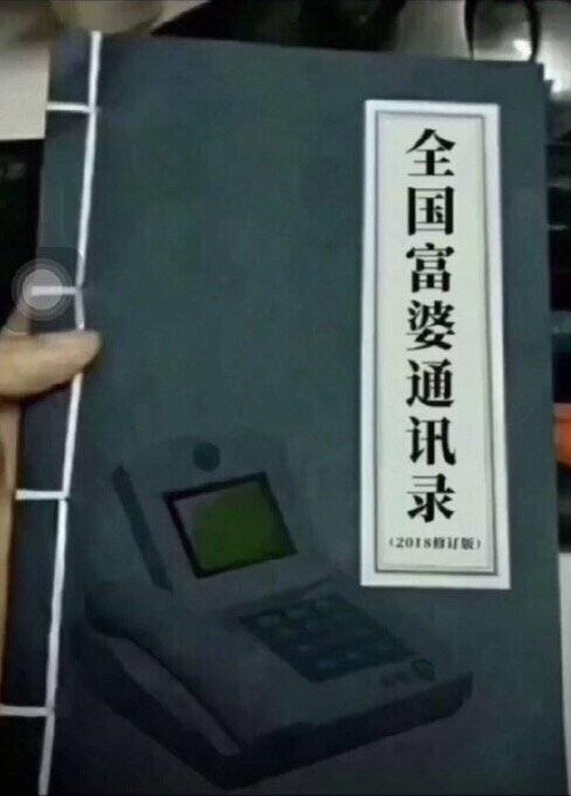 揭秘隐匿富婆宝典：致富秘籍-第1张图片-情感驿站