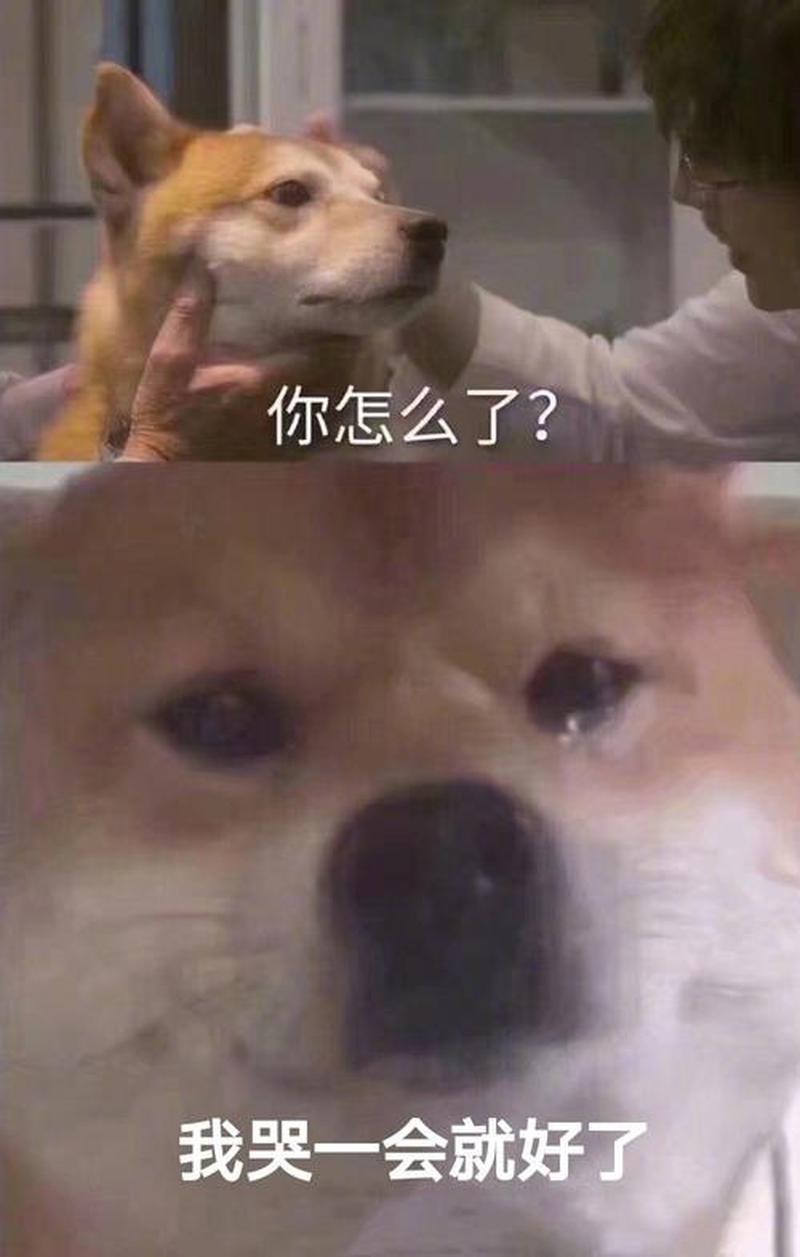 你把我弄哭了表情—与你云雨成空，可否将我宠溺至泪流满面-第1张图片-情感驿站