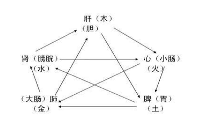 两个人一前一后成语_相生相克，阴阳共存-第1张图片-情感驿站