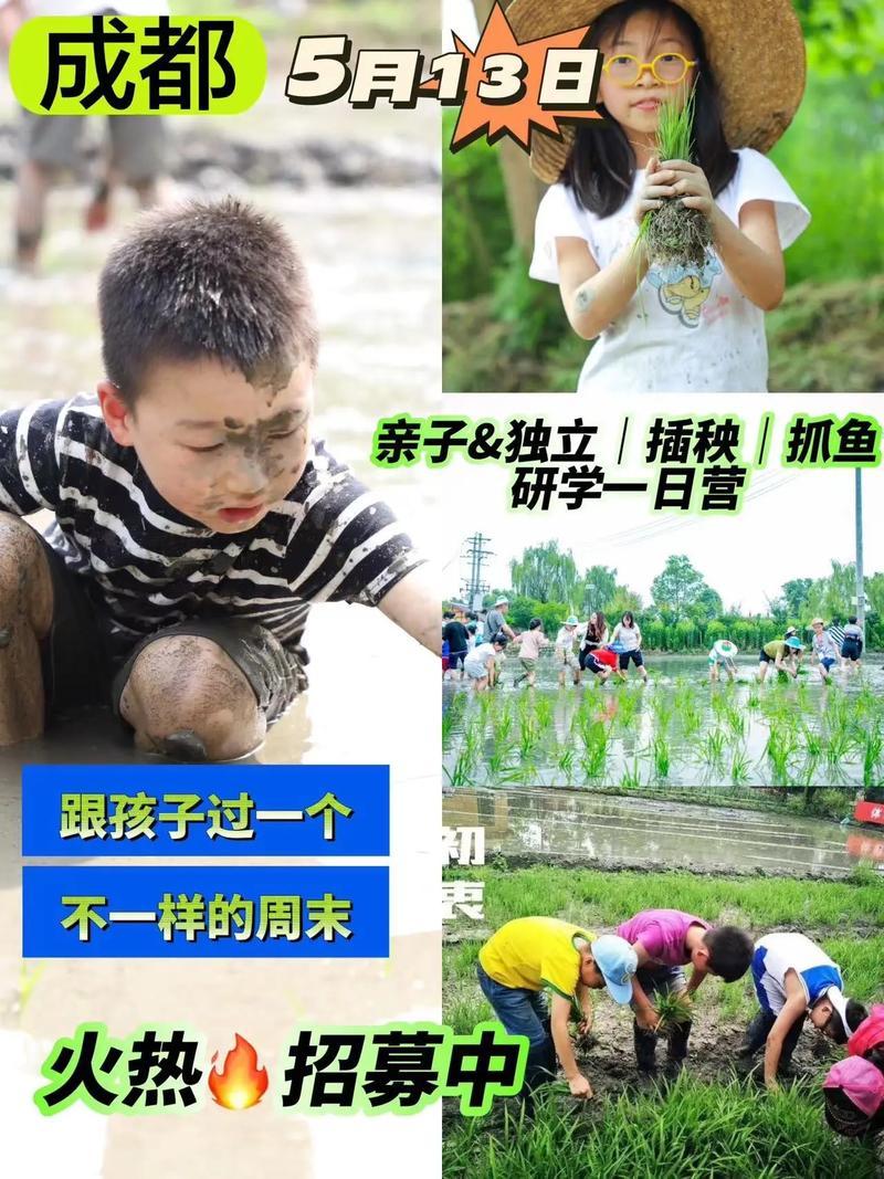 情侣的一百种插秧法(情定稻田：一百种插秧的浪漫舞姿)-第1张图片-情感驿站