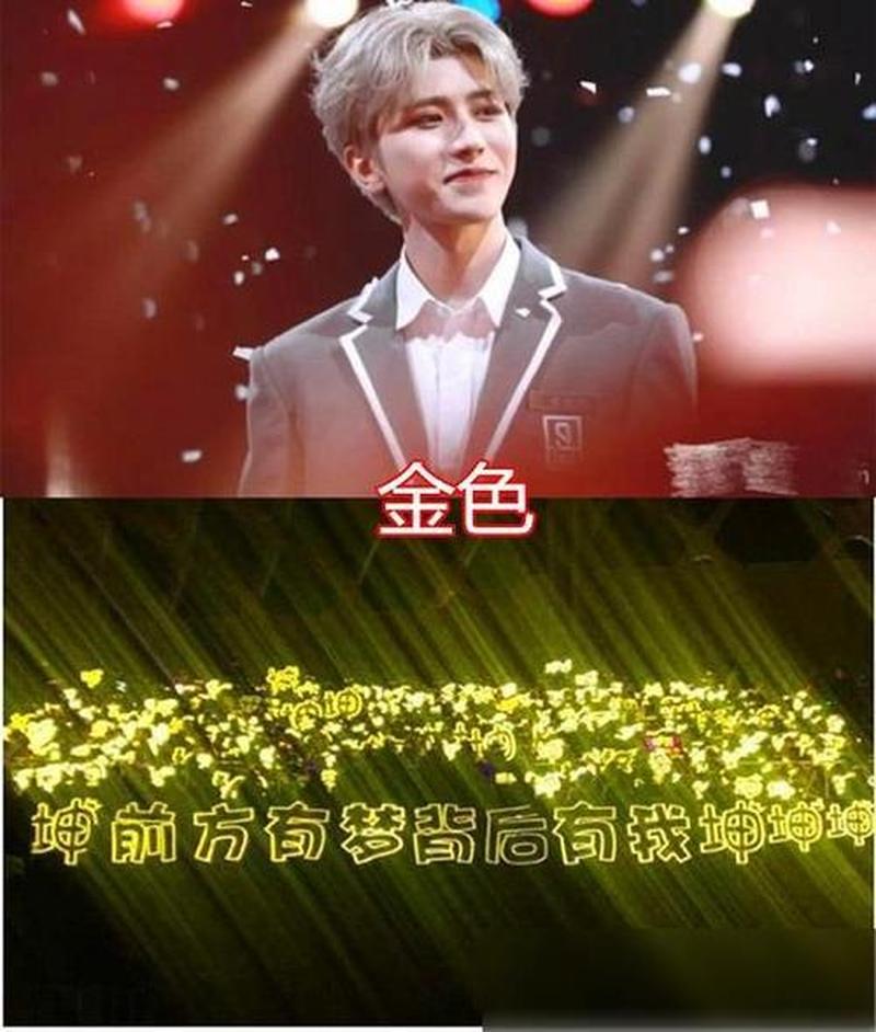 ikun是什么意思怎么读(IKUN探秘：揭开神秘粉丝群体的真面目)-第1张图片-情感驿站