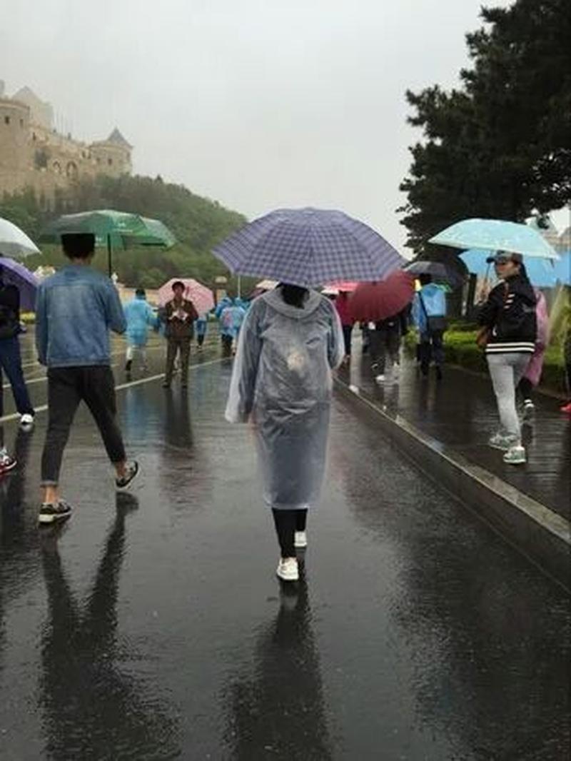 为什么很多人在下雨天会睡得更香(雨声轻柔 睡眠更绵长)-第1张图片-情感驿站