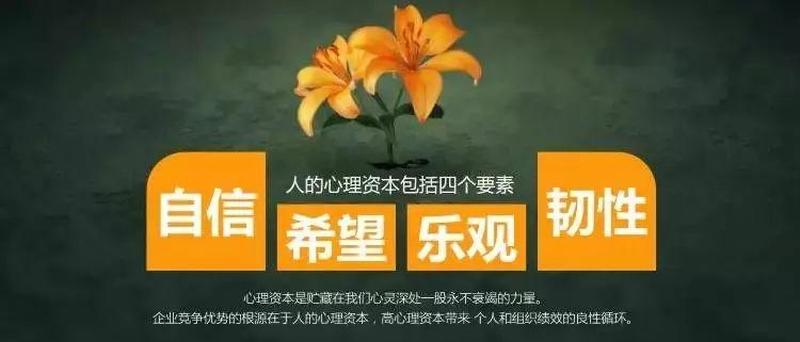 理性和乐观(理智乐观者的清醒视角与展望)-第1张图片-情感驿站