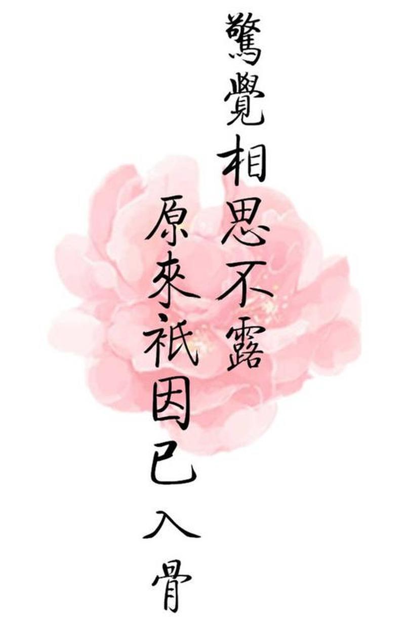 把下面能看湿的句子1000字_湿漉漉的文字交织,千言诉尽水光潋滟-第1张图片-情感驿站 把下面能看湿的句子1000字_湿漉漉的文字交织,千言诉尽水光潋滟-第1张图片-情感驿站
