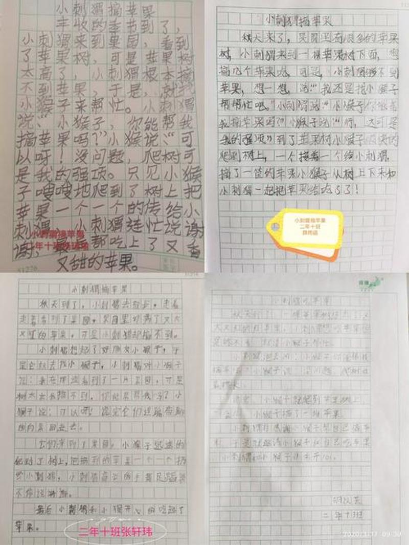 兔跃而起,笑声连连,小白兔的妙语连珠-第1张图片-情感驿站 兔跃而起,笑声连连,小白兔的妙语连珠-第1张图片-情感驿站