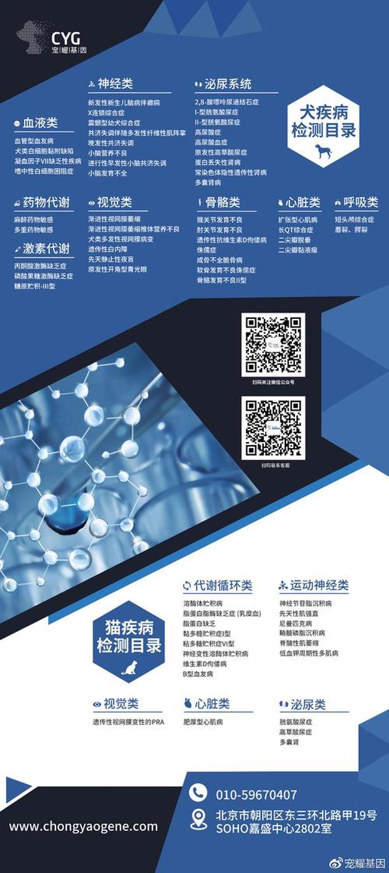 基因与健康—基因与健康：解码生命的神秘密码，造就健康未来-第1张图片-情感驿站