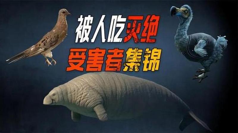 助力:持久战王者归来,时间延长惊人之谜-第1张图片-情感驿站 助力:持久战王者归来,时间延长惊人之谜-第1张图片-情感驿站
