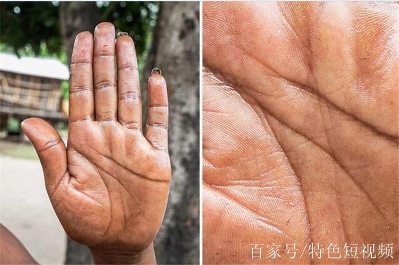 为什么男的都喜欢手先进去_男性的共性：为何手掌常领衔进场-第1张图片-情感驿站