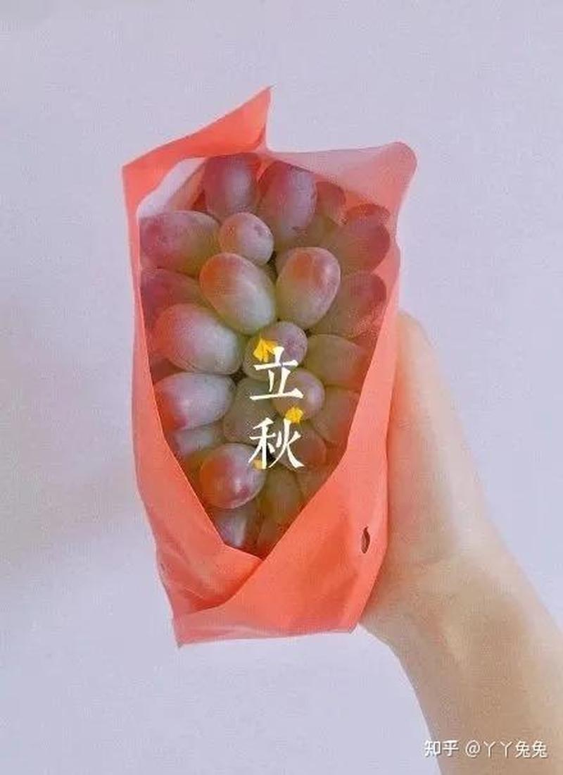 男生吃女生的两个葡萄_青春之缘,葡萄入怀-第1张图片-情感驿站 男生吃女生的两个葡萄_青春之缘,葡萄入怀-第1张图片-情感驿站