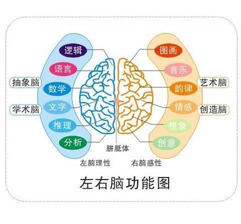 右脑型思维者(直觉与创造力交织:释放右脑思维潜能)-第1张图片-情感驿站 右脑型思维者(直觉与创造力交织:释放右脑思维潜能)-第1张图片-情感驿站