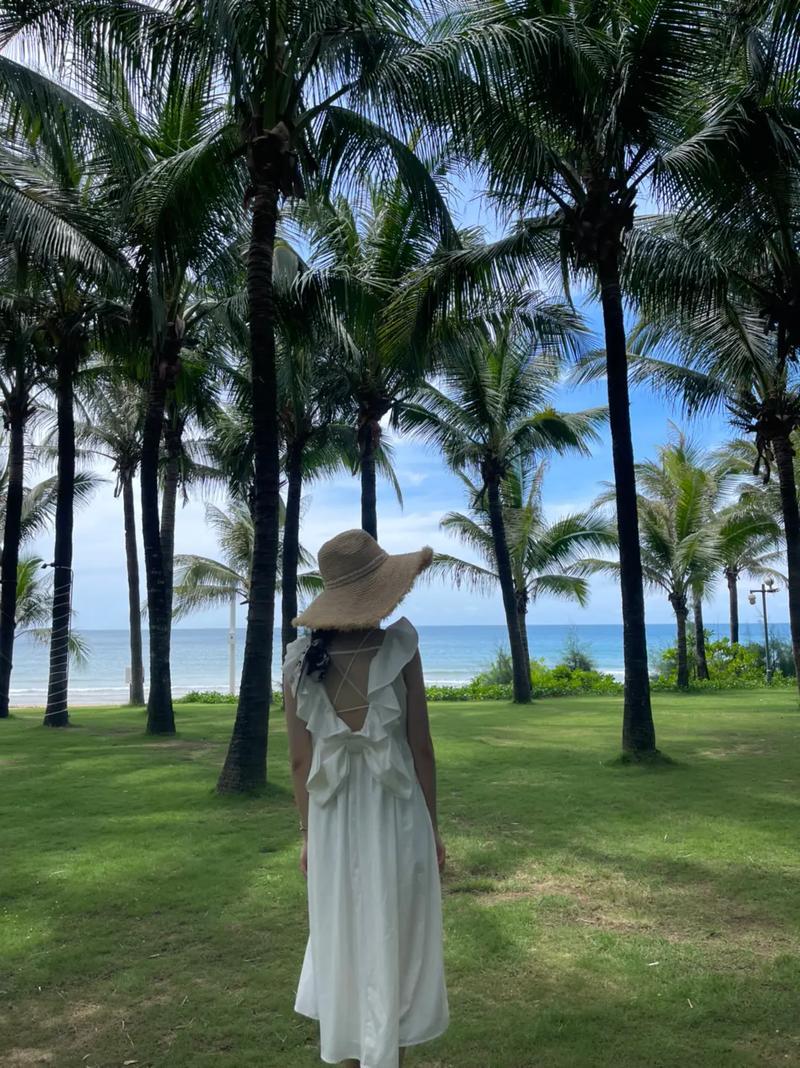 东隅和桑榆指的是什么支付宝—破晓与暮时：东隅桑榆的时空之美-第1张图片-情感驿站