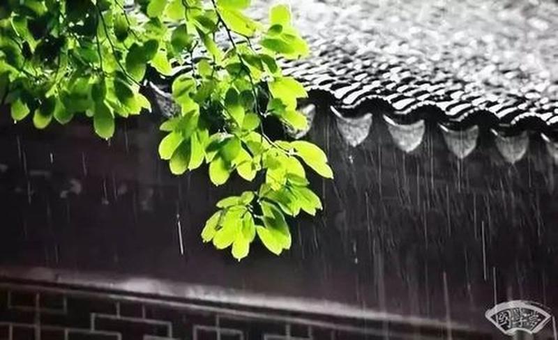 下雨天睡的舒服—雨夜沉睡，香梦悠然-第1张图片-情感驿站