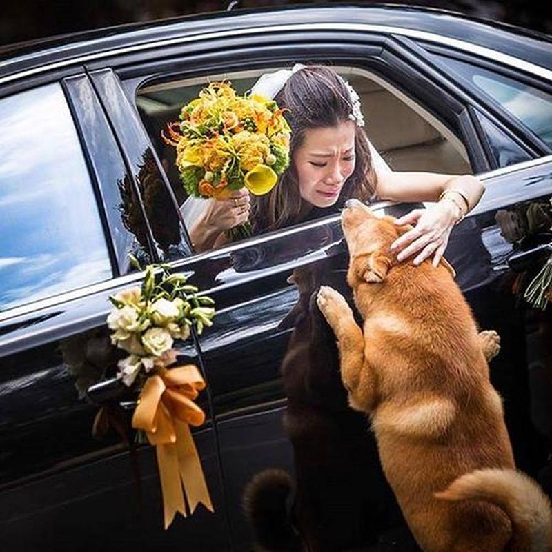 小夫妻生活_相濡以沫:小夫妻的温馨日常-第1张图片-情感驿站 小夫妻生活_相濡以沫:小夫妻的温馨日常-第1张图片-情感驿站