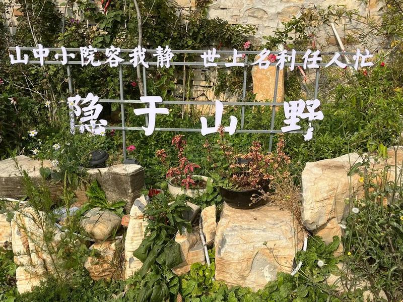 什么叫人际关系网—人际交织中的微妙-第1张图片-情感驿站