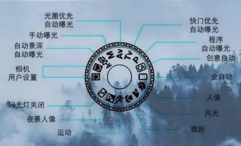 二次曝光：相机中舞动的时光画笔-第1张图片-情感驿站