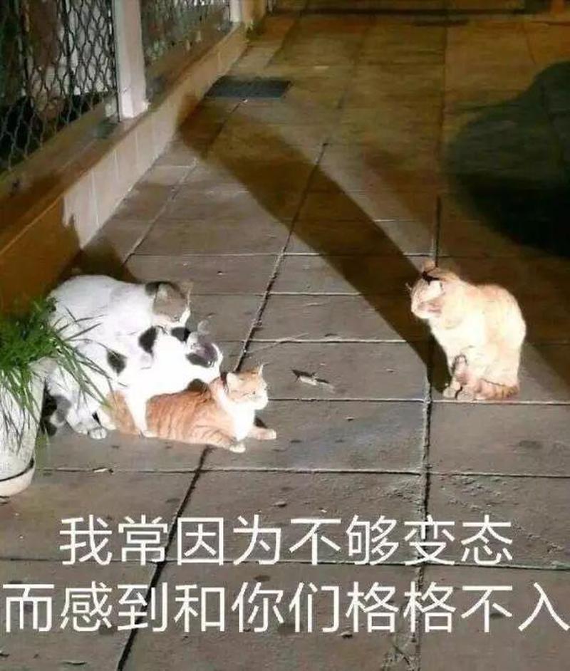 开车技术有多高,污力路段有多长-第1张图片-情感驿站 开车技术有多高,污力路段有多长-第1张图片-情感驿站