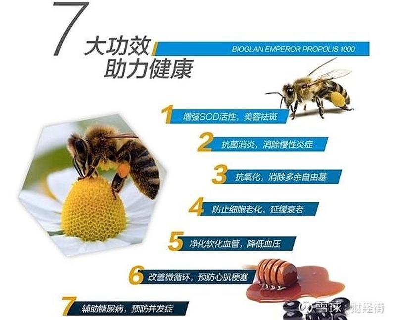 汪氏蜂胶怎么样？_汪氏蜂胶：天然抗菌免疫卫士，守护健康-第1张图片-情感驿站