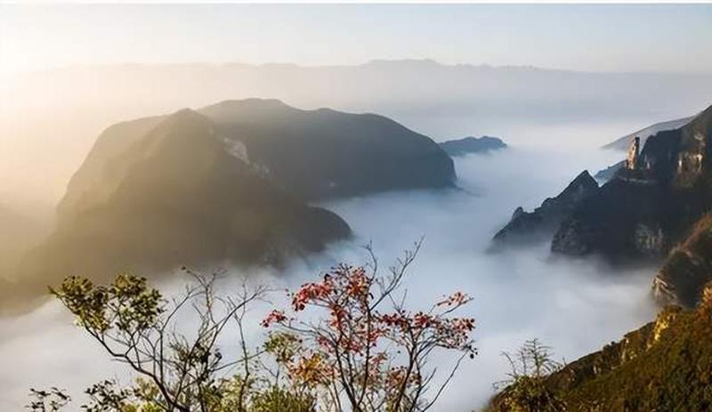 与领导共赴巫山云雨后，他竟冷漠相待-第1张图片-情感驿站