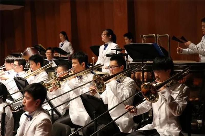 男生自乐器—琴弦上的少年狂想曲：青春与乐器的交响共鸣-第1张图片-情感驿站