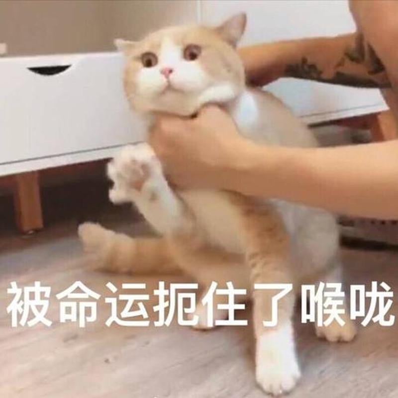  *** 被接听了怎么办_接线忙音扼住喉咙，我哑口无言-第1张图片-情感驿站