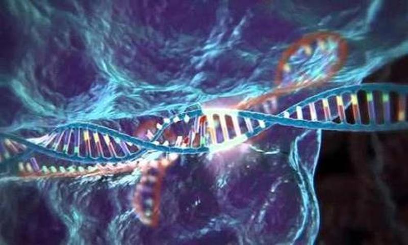 当坚挺转为柔弱：探寻事物突变的奥秘-第1张图片-情感驿站