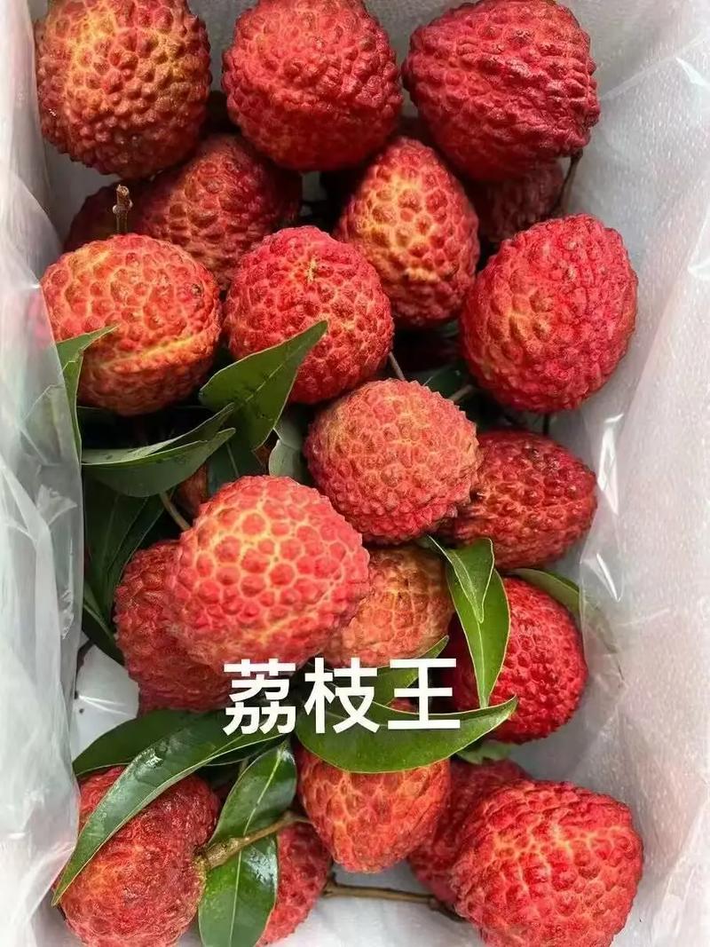 你怎么欺负人呀荔枝很甜txt—霸凌的手段，你为何操控-第1张图片-情感驿站