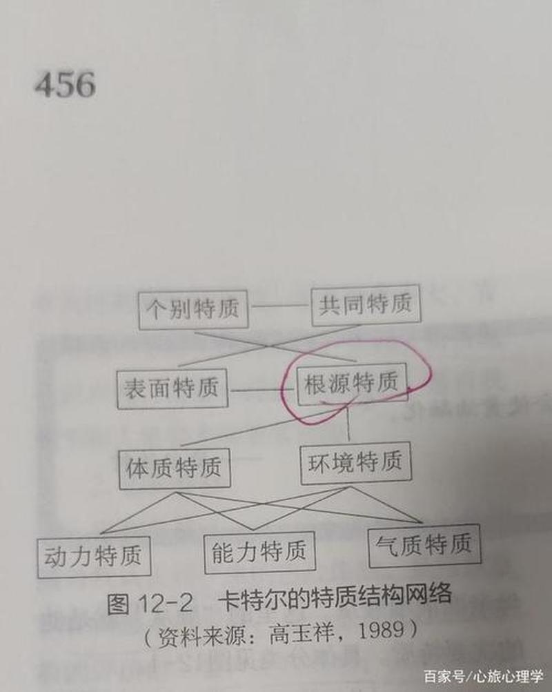 人格的特征(人格特质的多棱镜：探索自我本质)-第1张图片-情感驿站