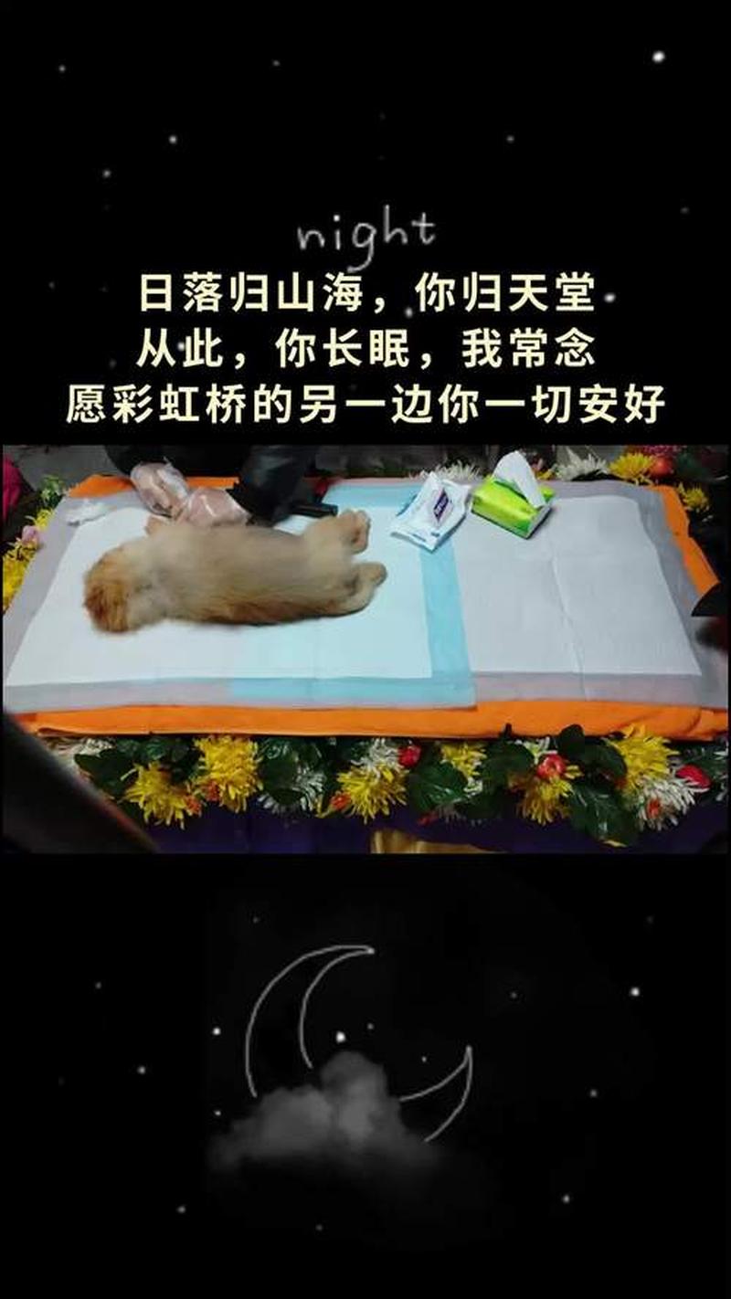 独处良辰之我思我念-第1张图片-情感驿站